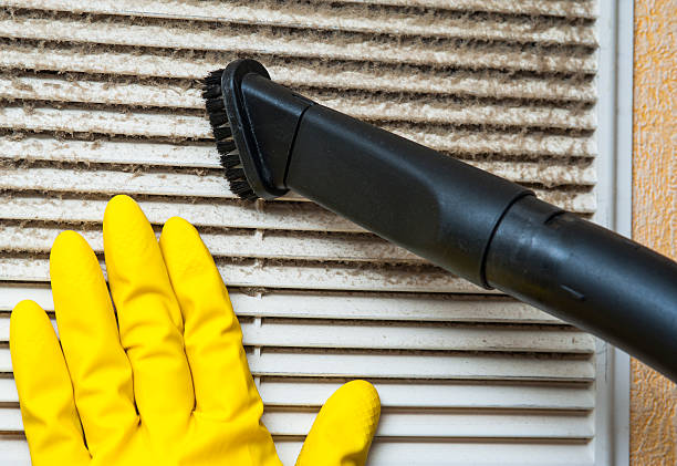 Best Air Duct Mold Removal  in Midland Park, NJ